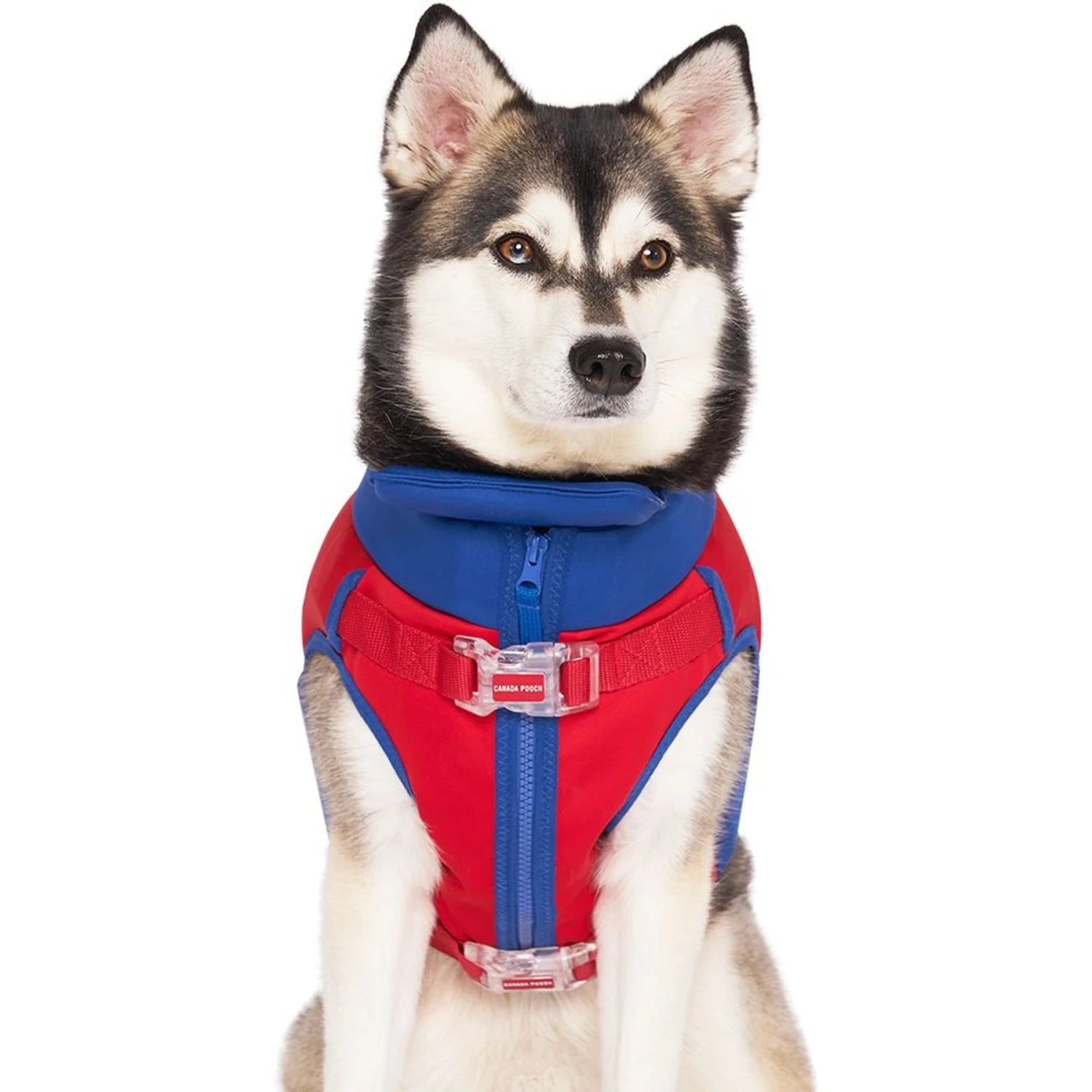 Canada Pooch High Tide Life Dog Jacket 4 Canada Pooch High Tide Life Dog Jacket - Image 2