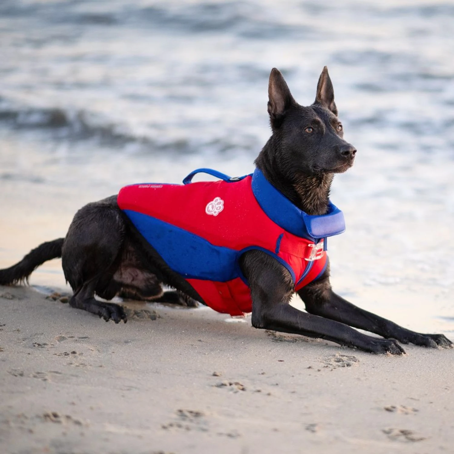 Canada Pooch High Tide Life Dog Jacket 7 Canada Pooch High Tide Life Dog Jacket - Image 5