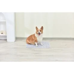 Glad For Pets Washable Training Dog Potty Pad, 2 Count -Dog Supplies Shop 762750 PT5. AC SS1800 V1674757883