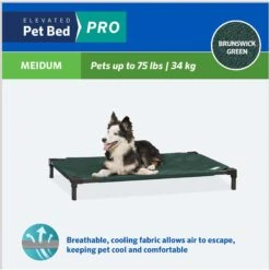 Coolaroo Pro Replacement Cover Elevated Dog & Cat Bed -Dog Supplies Shop 763022 PT3. AC SS1800 V1674768928
