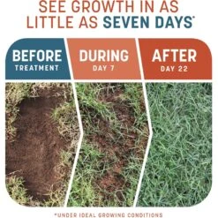 Pennington Smart Patch Bermudagrass Mix Dog Lawn-Treatment & Grass Saver 13 Pennington Smart Patch Bermudagrass Mix Dog Lawn-Treatment & Grass Saver -Dog Supplies Shop 763358 PT2. AC SS1800 V1674757888