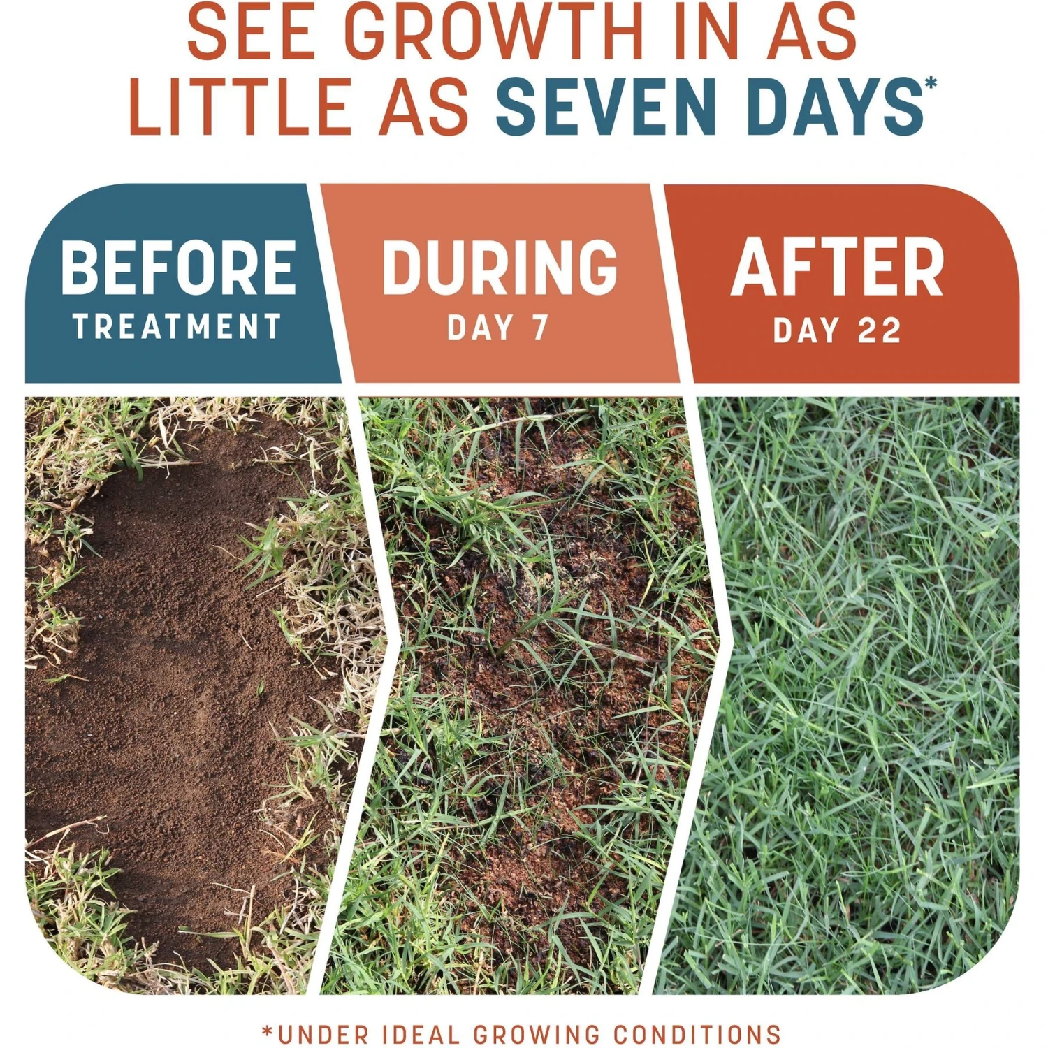 Pennington Smart Patch Bermudagrass Mix Dog Lawn-Treatment & Grass Saver 5 Pennington Smart Patch Bermudagrass Mix Dog Lawn-Treatment & Grass Saver - Image 3