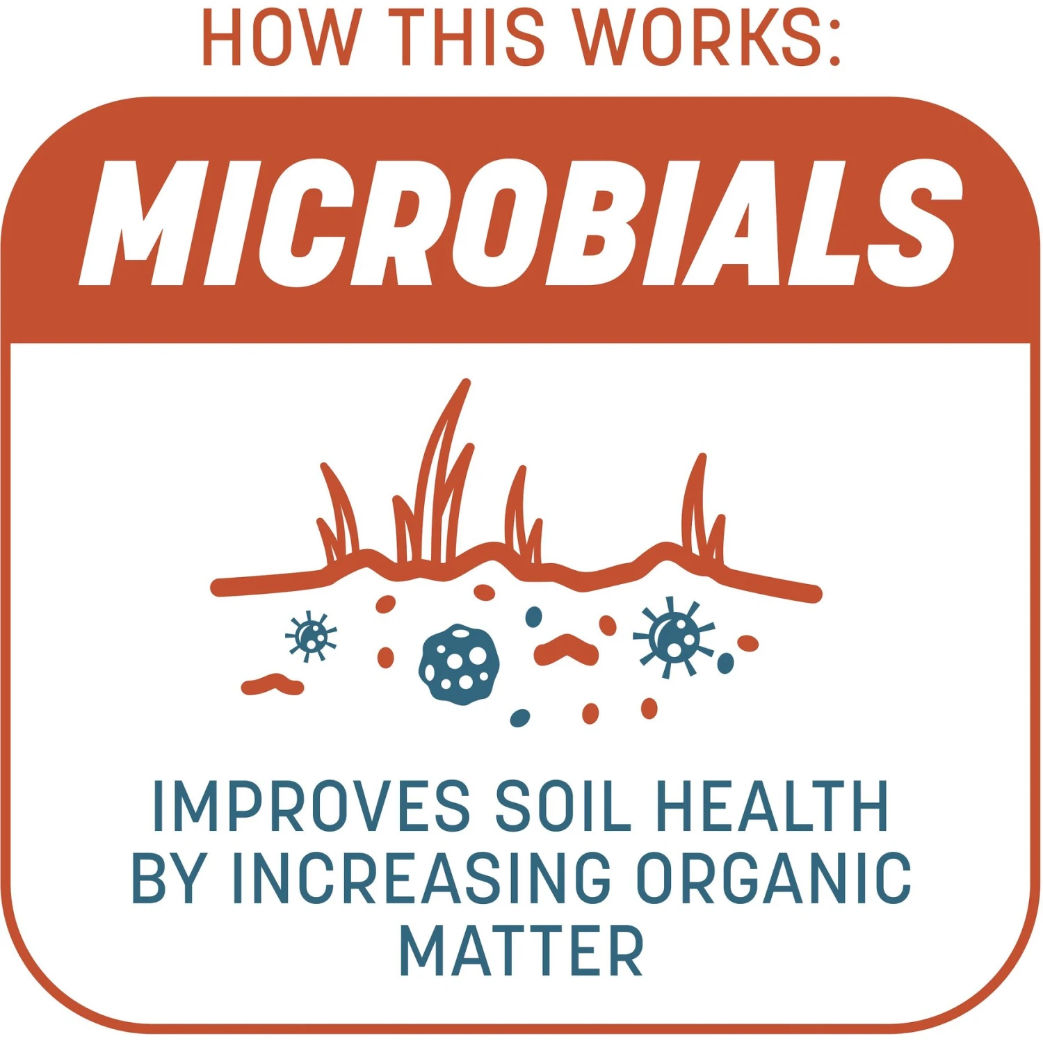 Pennington Smart Patch Bermudagrass Mix Dog Lawn-Treatment & Grass Saver 6 Pennington Smart Patch Bermudagrass Mix Dog Lawn-Treatment & Grass Saver - Image 4