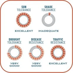 Pennington Smart Patch Bermudagrass Mix Dog Lawn-Treatment & Grass Saver 19 Pennington Smart Patch Bermudagrass Mix Dog Lawn-Treatment & Grass Saver -Dog Supplies Shop 763358 PT8. AC SS1800 V1674769356
