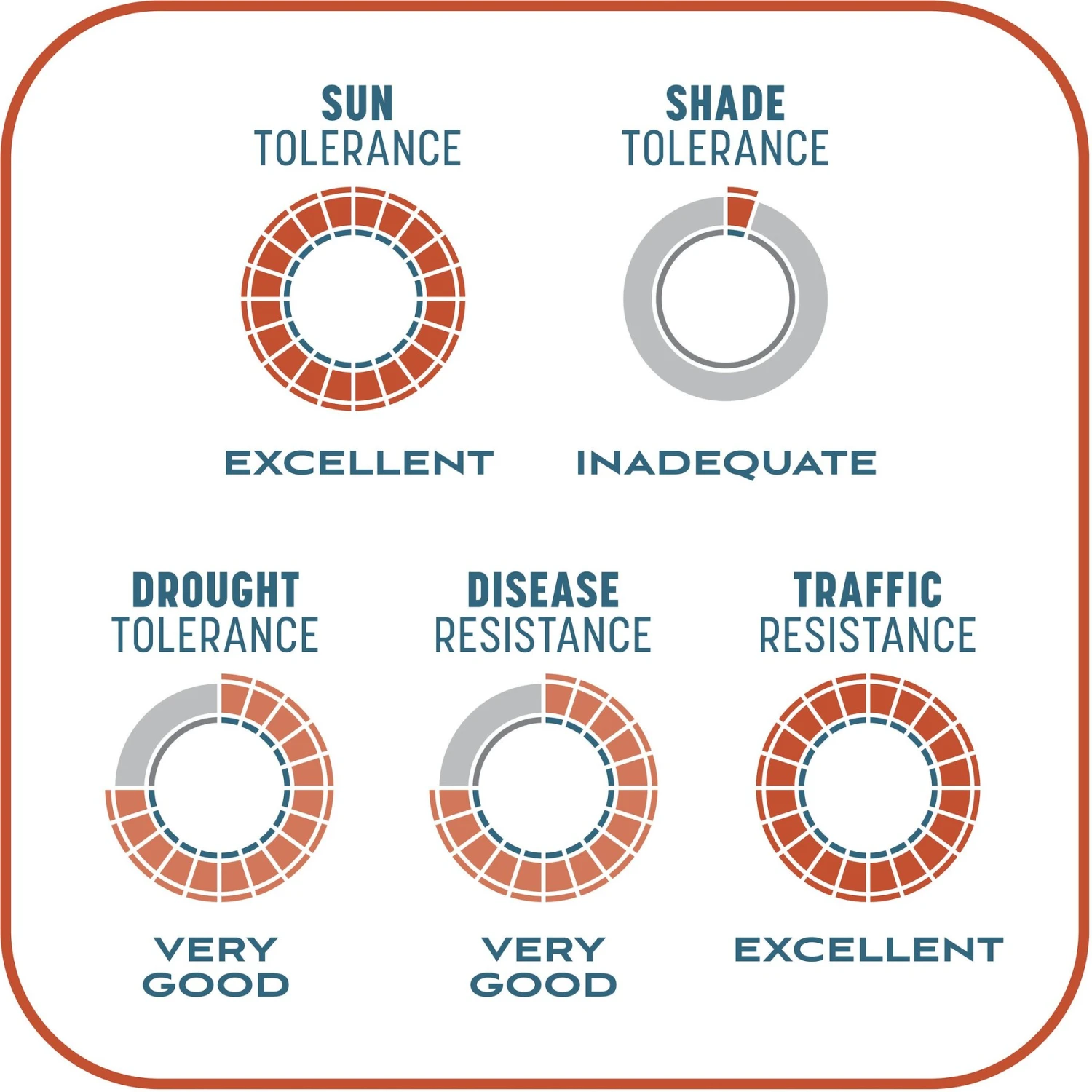 Pennington Smart Patch Bermudagrass Mix Dog Lawn-Treatment & Grass Saver 11 Pennington Smart Patch Bermudagrass Mix Dog Lawn-Treatment & Grass Saver - Image 9