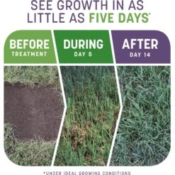 Pennington Smart Patch Dense Shade Mix Dog Lawn-Treatment & Grass Saver -Dog Supplies Shop 763382 PT2. AC SS1800 V1674769875