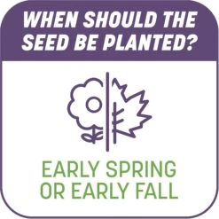 Pennington Smart Patch Dense Shade Mix Dog Lawn-Treatment & Grass Saver -Dog Supplies Shop 763382 PT7. AC SS1800 V1674769409