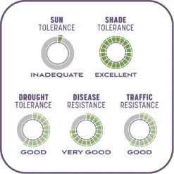 Pennington Smart Patch Dense Shade Mix Dog Lawn-Treatment & Grass Saver -Dog Supplies Shop 763382 PT8. AC SS1800 V1674745040