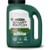 Pennington Smart Patch Sun & Shade Mix Dog Lawn-Treatment & Grass Saver -Dog Supplies Shop 763398 MAIN. AC SS1800 V1674745019