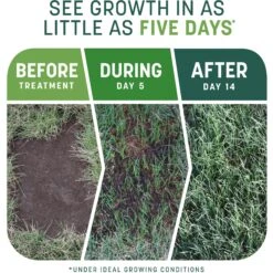 Pennington Smart Patch Sun & Shade Mix Dog Lawn-Treatment & Grass Saver 13 Pennington Smart Patch Sun & Shade Mix Dog Lawn-Treatment & Grass Saver -Dog Supplies Shop 763398 PT2. AC SS1800 V1674745147