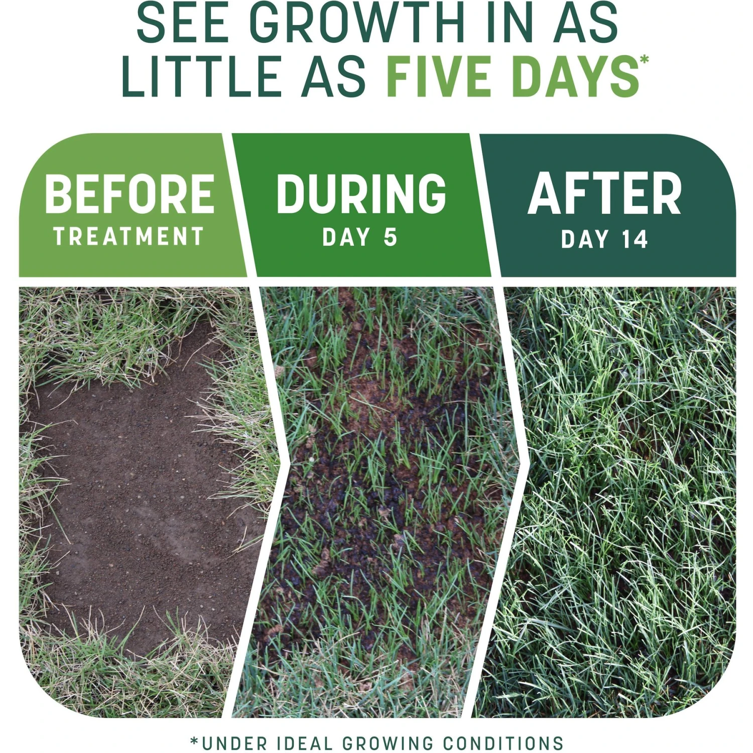 Pennington Smart Patch Sun & Shade Mix Dog Lawn-Treatment & Grass Saver 5 Pennington Smart Patch Sun & Shade Mix Dog Lawn-Treatment & Grass Saver - Image 3