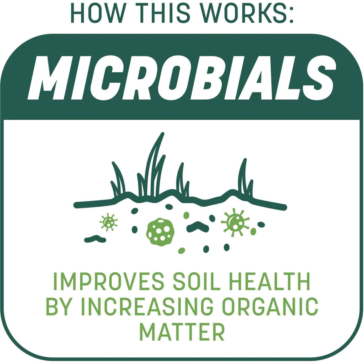 Pennington Smart Patch Sun & Shade Mix Dog Lawn-Treatment & Grass Saver 6 Pennington Smart Patch Sun & Shade Mix Dog Lawn-Treatment & Grass Saver - Image 4