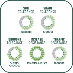 Pennington Smart Patch Sun & Shade Mix Dog Lawn-Treatment & Grass Saver 19 Pennington Smart Patch Sun & Shade Mix Dog Lawn-Treatment & Grass Saver -Dog Supplies Shop 763398 PT8. AC SS1800 V1674772905