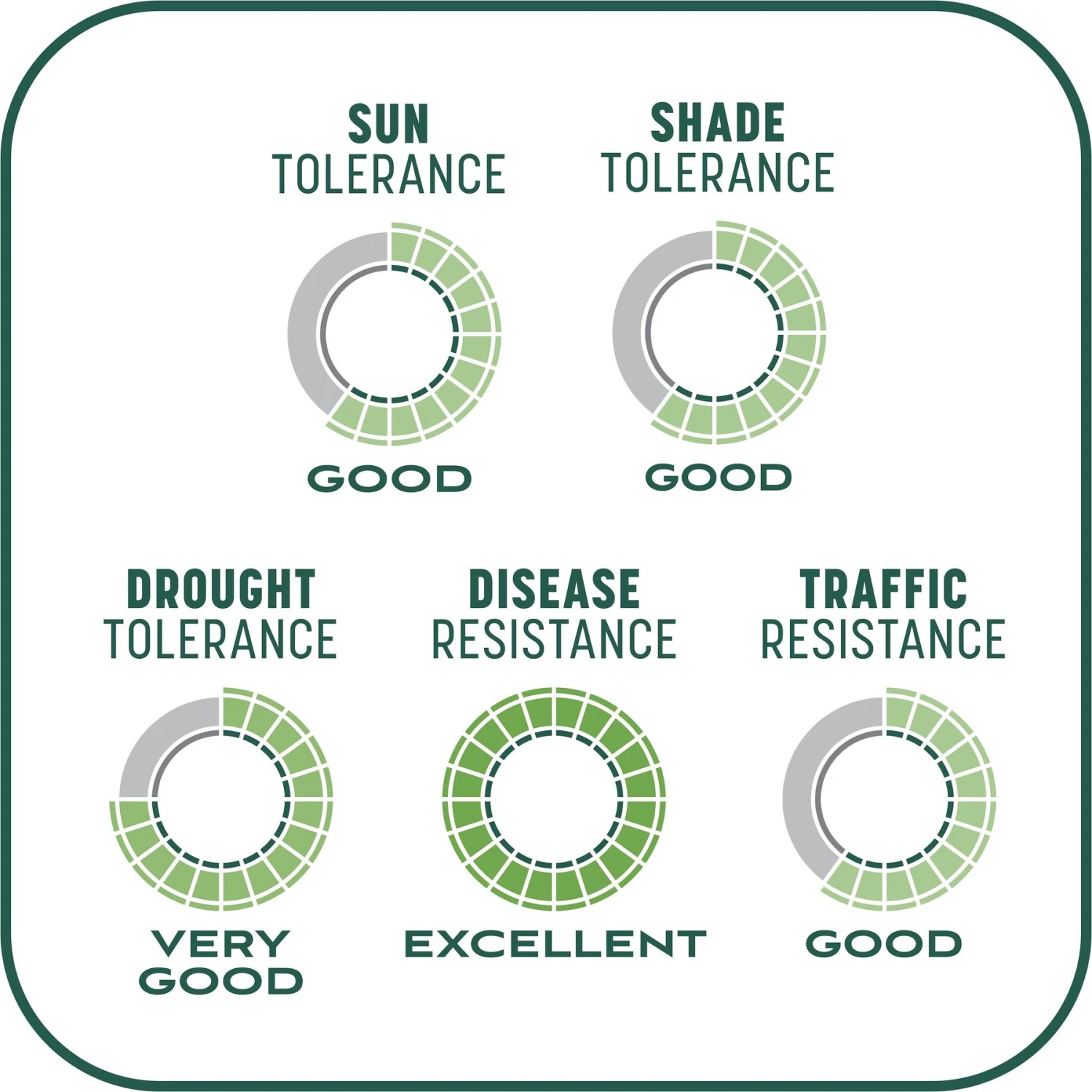 Pennington Smart Patch Sun & Shade Mix Dog Lawn-Treatment & Grass Saver 11 Pennington Smart Patch Sun & Shade Mix Dog Lawn-Treatment & Grass Saver - Image 9