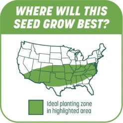 Pennington Smart Patch Tall Fescue Mix Dog Lawn-Treatment & Grass Saver -Dog Supplies Shop 763422 PT6. AC SS1800 V1674745041