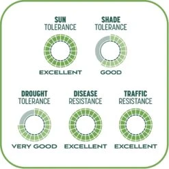 Pennington Smart Patch Tall Fescue Mix Dog Lawn-Treatment & Grass Saver -Dog Supplies Shop 763422 PT8. AC SS1800 V1674745099