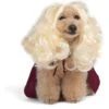 Disney Hocus Pocus Halloween Sarah Sanderson Cape & Pet Wig Dog Costume With PVC Bag & Insert Card -Dog Supplies Shop 763518 MAIN. AC SS1800 V1686849979