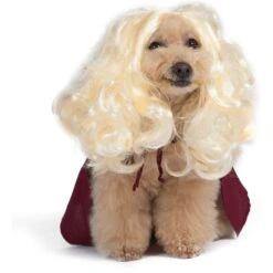 Disney Hocus Pocus Halloween Sarah Sanderson Cape & Pet Wig Dog Costume With PVC Bag & Insert Card