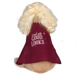 Disney Hocus Pocus Halloween Sarah Sanderson Cape & Pet Wig Dog Costume With PVC Bag & Insert Card 10 Disney Hocus Pocus Halloween Sarah Sanderson Cape & Pet Wig Dog Costume With PVC Bag & Insert Card -Dog Supplies Shop 763518 PT2. AC SS1800 V1686849985