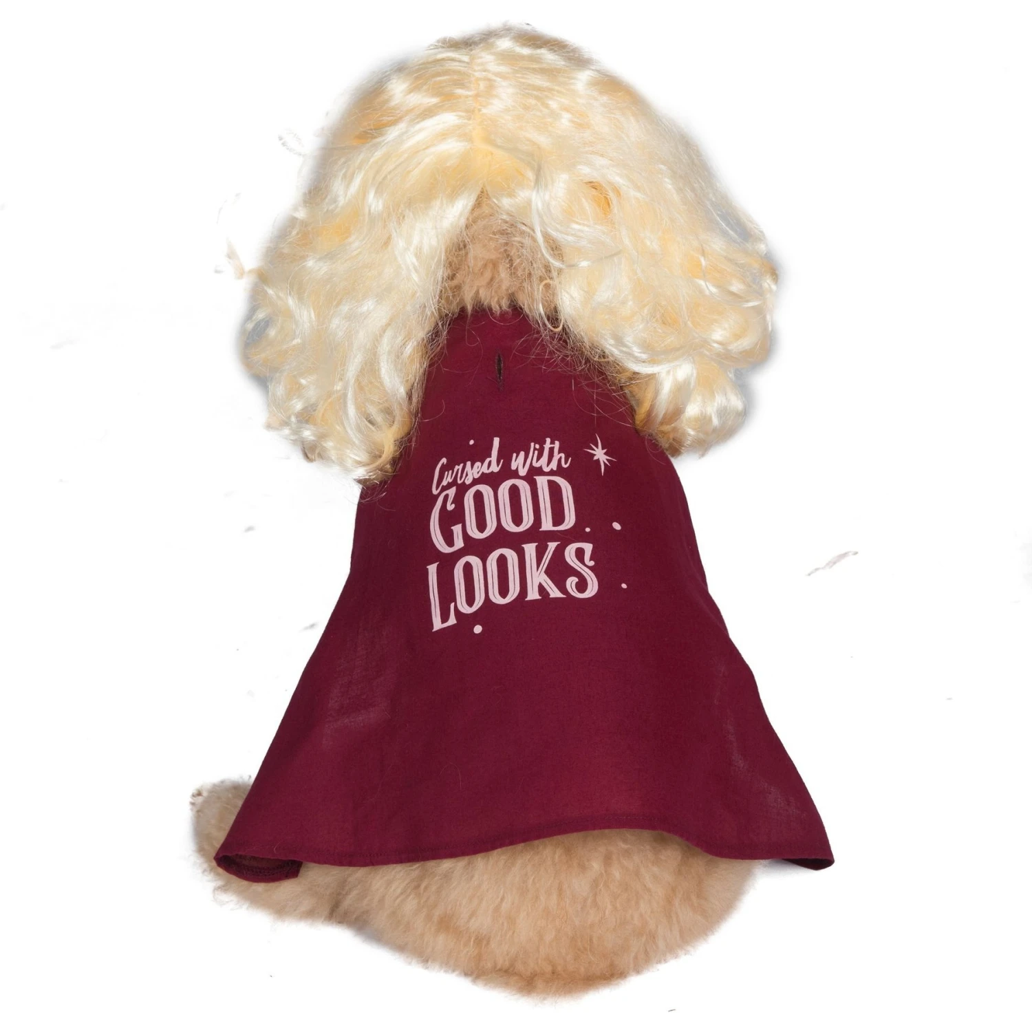 Disney Hocus Pocus Halloween Sarah Sanderson Cape & Pet Wig Dog Costume With PVC Bag & Insert Card 5 Disney Hocus Pocus Halloween Sarah Sanderson Cape & Pet Wig Dog Costume With PVC Bag & Insert Card - Image 3