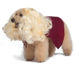 Disney Hocus Pocus Halloween Sarah Sanderson Cape & Pet Wig Dog Costume With PVC Bag & Insert Card 11 Disney Hocus Pocus Halloween Sarah Sanderson Cape & Pet Wig Dog Costume With PVC Bag & Insert Card -Dog Supplies Shop 763518 PT3. AC SS1800 V1686850100