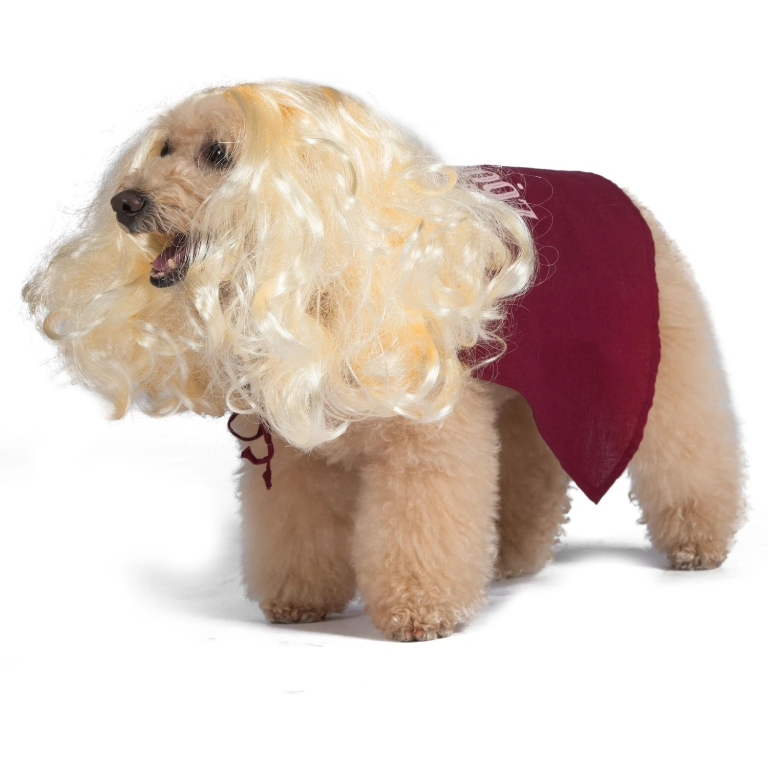 Disney Hocus Pocus Halloween Sarah Sanderson Cape & Pet Wig Dog Costume With PVC Bag & Insert Card 6 Disney Hocus Pocus Halloween Sarah Sanderson Cape & Pet Wig Dog Costume With PVC Bag & Insert Card - Image 4