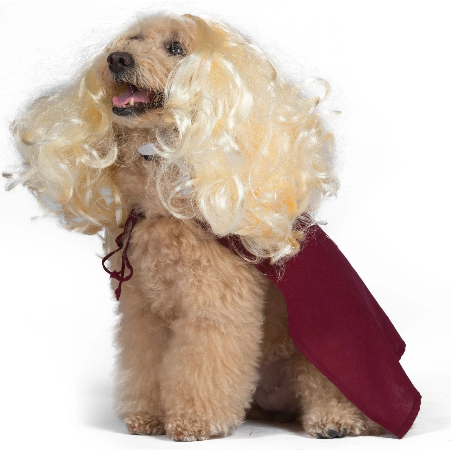 Disney Hocus Pocus Halloween Sarah Sanderson Cape & Pet Wig Dog Costume With PVC Bag & Insert Card 7 Disney Hocus Pocus Halloween Sarah Sanderson Cape & Pet Wig Dog Costume With PVC Bag & Insert Card - Image 5