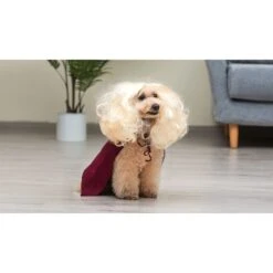 Disney Hocus Pocus Halloween Sarah Sanderson Cape & Pet Wig Dog Costume With PVC Bag & Insert Card 13 Disney Hocus Pocus Halloween Sarah Sanderson Cape & Pet Wig Dog Costume With PVC Bag & Insert Card -Dog Supplies Shop 763518 PT5. AC SS1800 V1686849979