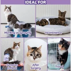 Skout's Honor Professional Strength Urine & Odor Destroyer & Hartz Disposable Cat Diaper -Dog Supplies Shop 773070 PT8. AC SS1800 V1676752127