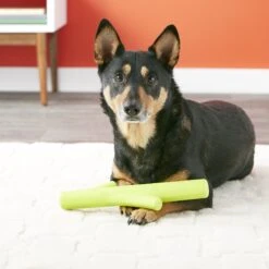 Hyper Pet Hyper Chewz Dog Chew Toy -Dog Supplies Shop 80170 PT4. AC SS1800 V1530912772