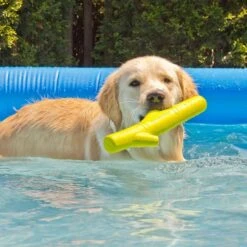 Hyper Pet Hyper Chewz Dog Chew Toy -Dog Supplies Shop 80170 PT8. AC SS1800 V1489184776