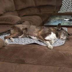 Caldwell's Multi-Purpose Quilted Washable & Reusable Dog Pee Pads 10 Caldwell's Multi-Purpose Quilted Washable & Reusable Dog Pee Pads -Dog Supplies Shop 802654 PT2. AC SS1800 V1683035360