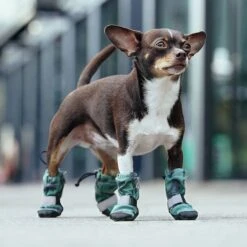 Canada Pooch Soft Shield Dog Boots -Dog Supplies Shop 803006 PT4. AC SS1800 V1682088022