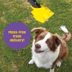 Brightkins Magic Wand! Bolt Treat Dispensing Dog Toy 9 Brightkins Magic Wand! Bolt Treat Dispensing Dog Toy -Dog Supplies Shop 805470 PT3. AC SS1800 V1682450563