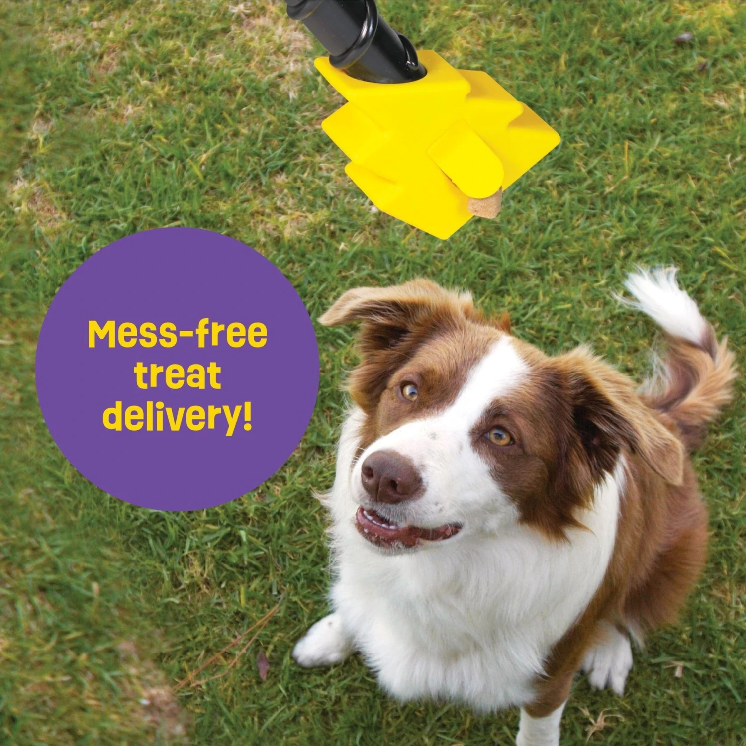 Brightkins Magic Wand! Bolt Treat Dispensing Dog Toy 5 Brightkins Magic Wand! Bolt Treat Dispensing Dog Toy - Image 3