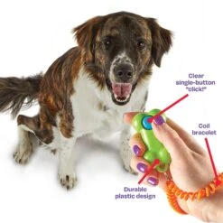 Brightkins Smarty Pooch Bone Dog Training Clicker -Dog Supplies Shop 805486 PT3. AC SS1800 V1682450551