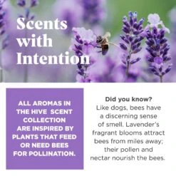 Project Hive Pet Company Hive Calming Lavender Scented Disc & Lick Mat Dog Toy, Purple 10 Project Hive Pet Company Hive Calming Lavender Scented Disc & Lick Mat Dog Toy, Purple -Dog Supplies Shop 805998 PT4. AC SS1800 V1683567302