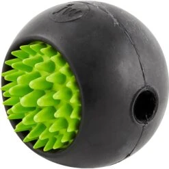 JW Pet Grass Ball Dog Toy, Color Varies -Dog Supplies Shop 81019 PT3. AC SS1800 V1531517815