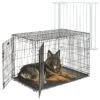 MidWest ICrate Fold & Carry Double Door Collapsible Wire Dog Crate & MidWest Steel Pet Gate 1 MidWest ICrate Fold & Carry Double Door Collapsible Wire Dog Crate & MidWest Steel Pet Gate -Dog Supplies Shop 815238 MAIN. AC SS1800 V1679500876