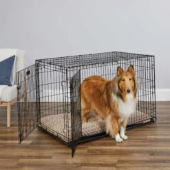 MidWest ICrate Fold & Carry Double Door Collapsible Wire Dog Crate & MidWest Steel Pet Gate -Dog Supplies Shop 815238 PT2. AC SS1800 V1679500811