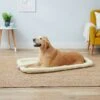 Carlson Pet Products Fleece Dog Crate Mat -Dog Supplies Shop 82458 MAIN. AC SS1800 V1569509871