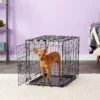 Carlson Pet Products Secure & Compact Single Door Collapsible Wire Dog Crate 2 Carlson Pet Products Secure & Compact Single Door Collapsible Wire Dog Crate -Dog Supplies Shop 82471 MAIN. AC SS1800 V1569015804