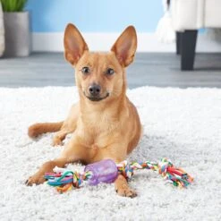 Mammoth Cloth Squeaky Rope For Dogs, Color Varies -Dog Supplies Shop 83182 PT2. AC SS1800 V1530547325