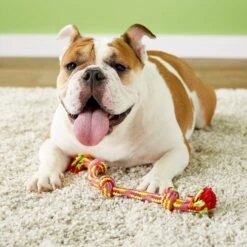 Mammoth Knot Tug For Dogs, Color Varies 8 Mammoth Knot Tug For Dogs, Color Varies -Dog Supplies Shop 83222 PT2. AC SS1800 V1633020510