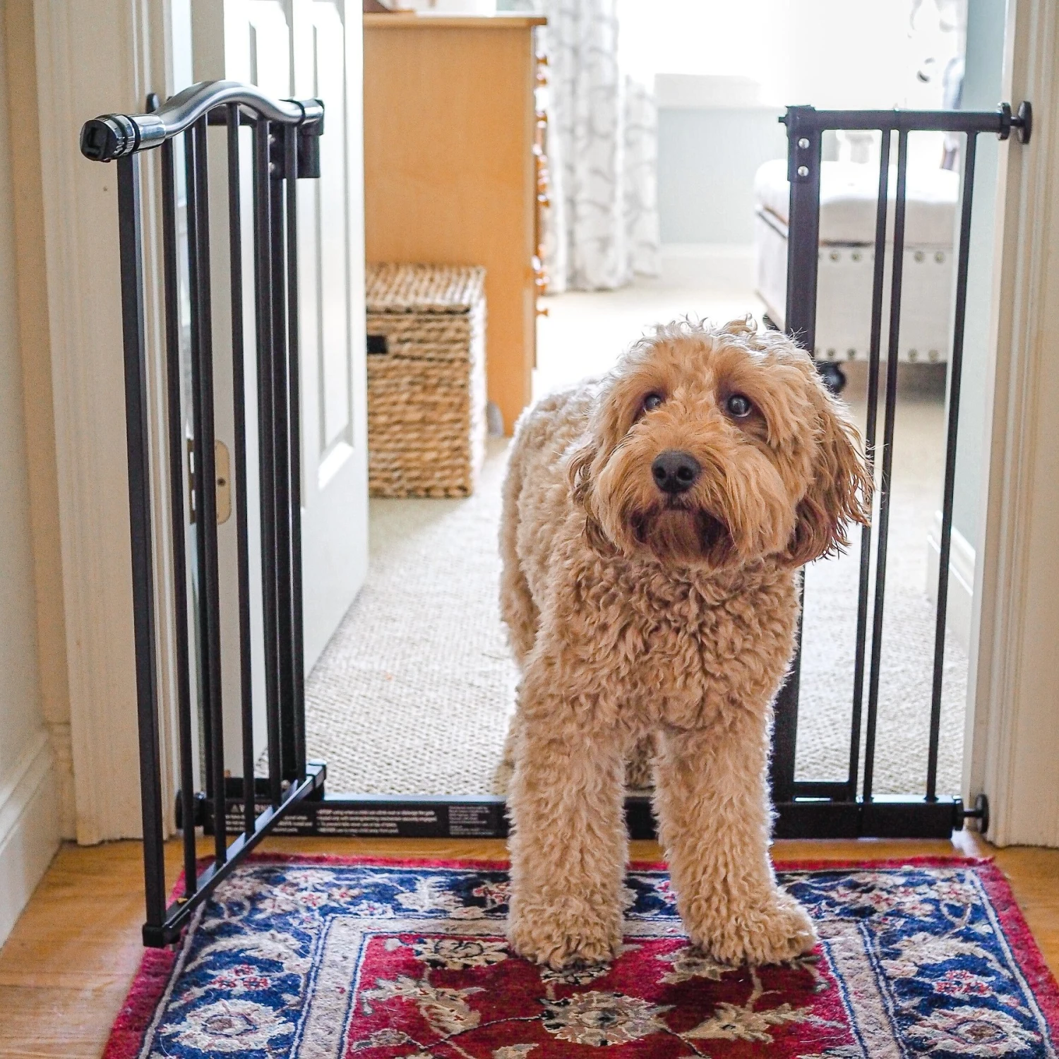 MyPet Windsor Arch Pet Gate For Dogs & Cats 5 MyPet Windsor Arch Pet Gate For Dogs & Cats - Image 3