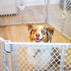 MyPet Plastic Dog Pet Yard -Dog Supplies Shop 83650 PT5. AC SS1800 V1667330821