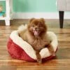 Aspen Pet Self-Warming Bolster Cat & Dog Bed, Warm Spice/Cream -Dog Supplies Shop 83889 MAIN. AC SS1800 V1566315458