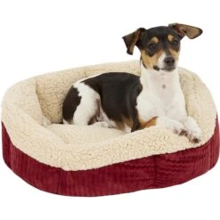 Aspen Pet Self-Warming Bolster Cat & Dog Bed, Warm Spice/Cream -Dog Supplies Shop 83889 PT3. AC SS1800 V1566315440