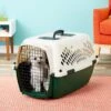 Petmate Ruff Maxx Dog & Cat Kennel, Off White/Green -Dog Supplies Shop 83941 MAIN. AC SS1800 V1569016038