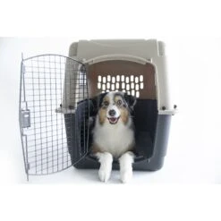 Petmate Ultra Vari Dog & Cat Kennel, Taupe/Black -Dog Supplies Shop 83947 PT3. AC SS1800 V1569016066